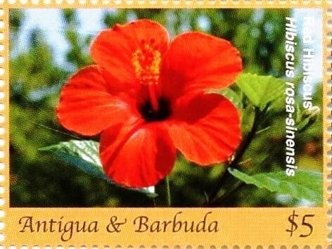 Edgar Degas 100 Years in Memorium