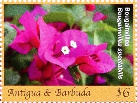 Welcoming the Royal Baby