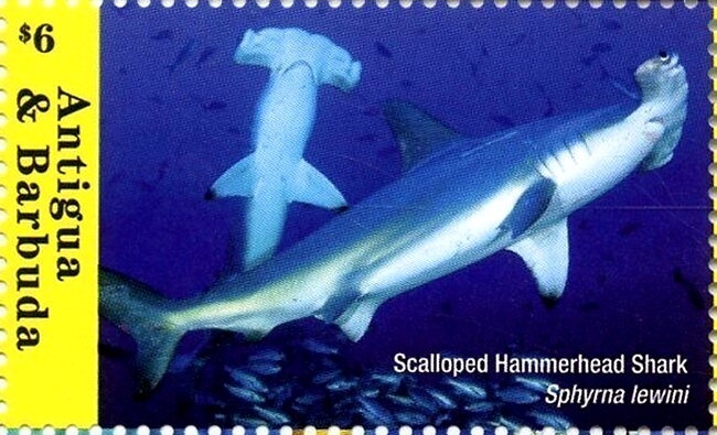 80th Birthday of Queen Elizabeth the Queen Mother