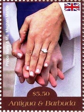 Coffee Bean (Coffea)