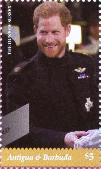 British Shorthair Cat (Felis silvestris catus)