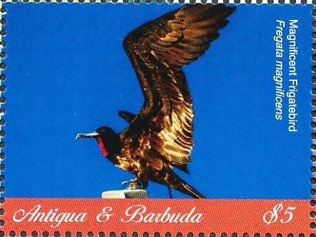 Arthur - Baseball (2)