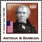 Andean Condor (Vultur gryphus), Green Overprint