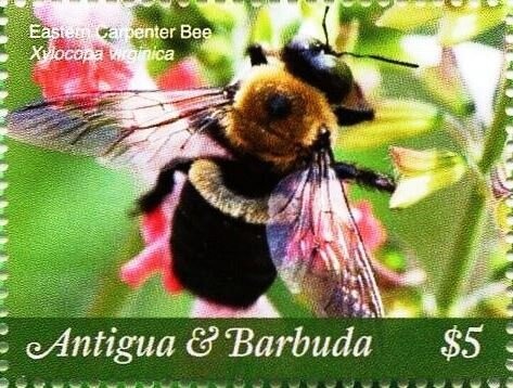 Princess Anne and Captain Mark Phillips - Overprinted