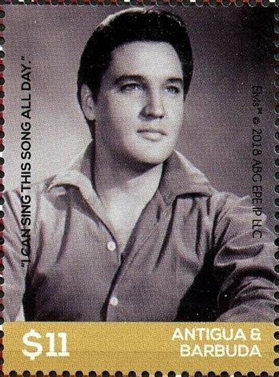 Fan Coral and Tube Coral