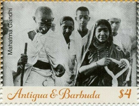 Animals of South America - Toco Toucan (Ramphastos toco)