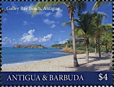 Blue Bubbler (Catostylus mosaicus)