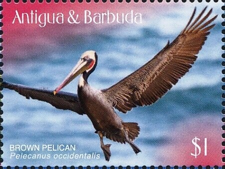 Image of Moon's Surface Transmitted by Luna 9