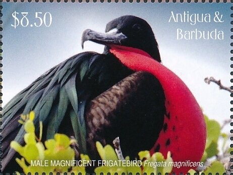 Milan Galic (Yugoslavia)