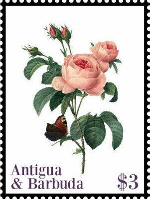 Crowd at Second Inaugural Address, 4 March 1865