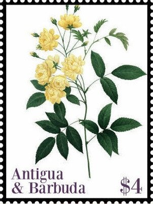 Elvis Presley in Dark Grey Uniform