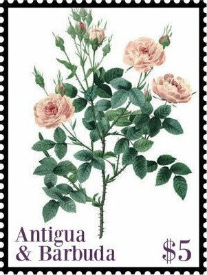 Mahatma Gandhi (facing forward) and Crowd