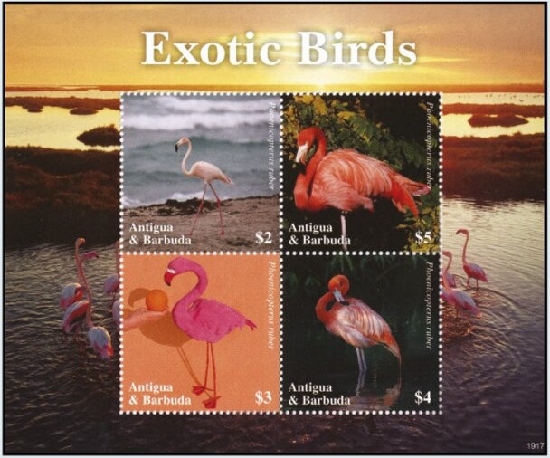 Meeting of US Pres. Barack Obama and Pope Benedict XVI