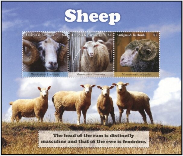 Concorde and Sydney Opera House