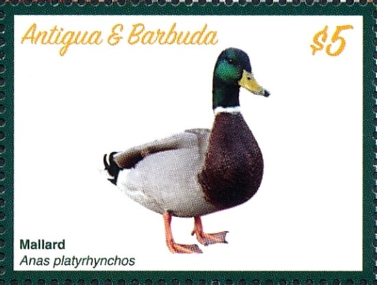 Preservation Volunteers