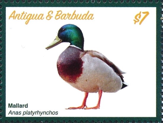 The 65th Birthday of Her Majesty Queen Elizabeth II