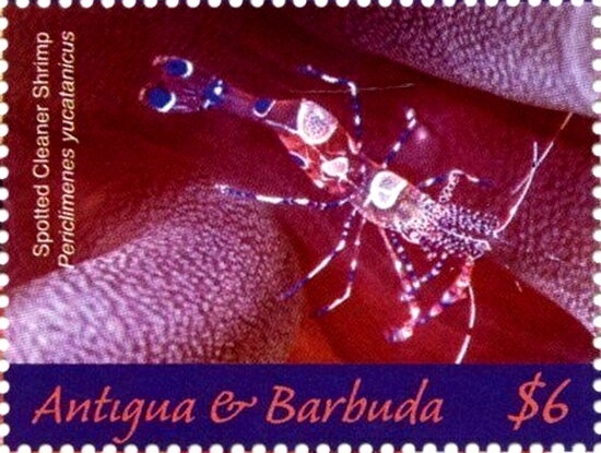 Mariano Moreno (1778-1811)