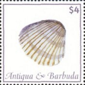 English Bulldog (facing right)