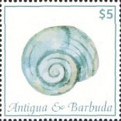 Blue-and-yellow Macaw (Ara ararauna)