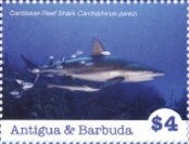 125th anniversary of St. John's Cathedral