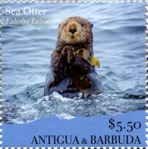 South America Map With Borders