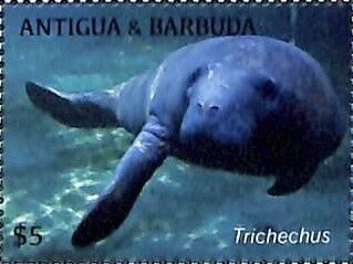 Decorated Palm Tree and Parade Dancers on Beach