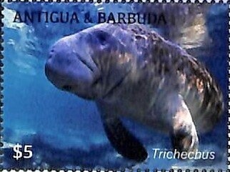 Princess Diana wearing Tiara and Pearl Drop Earrings