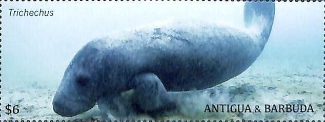 Rare stamps of the world - Spain