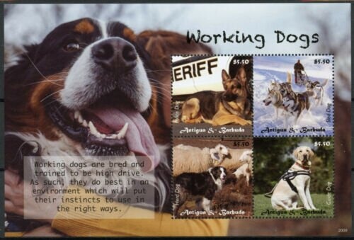 Lady with an ermine by Da Vinci