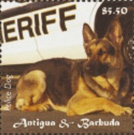 Charles Lindberg and "Spirit of St. Louis"