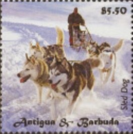 Tan Dachshund in Green Wooden Crate