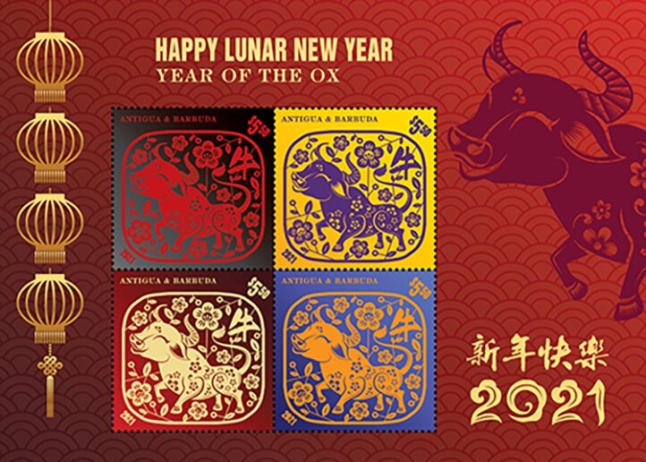 American flamingo (Phoenicopterus ruber)