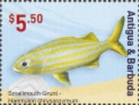 Cattle (Bos primigenius taurus)