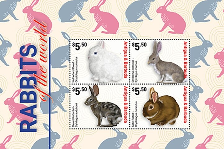 Pope Francis Adressing Crowd from Balcony