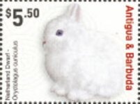 Sports of the Summer Games