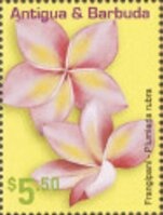 Australian Terrier (Canis lupus familiaris)