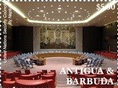 Tylopilus potamogeton