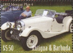 Merino Sheep (Ovis aries)