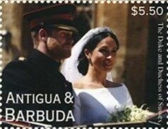 Polar Bear (Ursus maritimus)