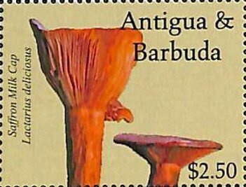 Post Office Building, Buenos Aires.