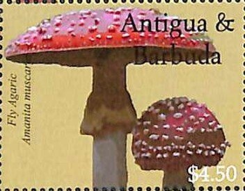 Mother Teresa and Princess Diana