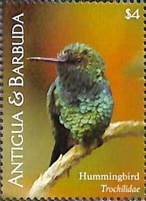 Beaches of Antigua & Barbuda