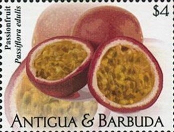 Pope Francis Memorial