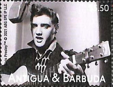 Andean Condor (Vultur gryphus), Green Overprint