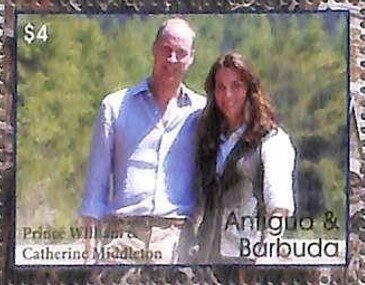 Caribbean Coot (Fulica caribaea)