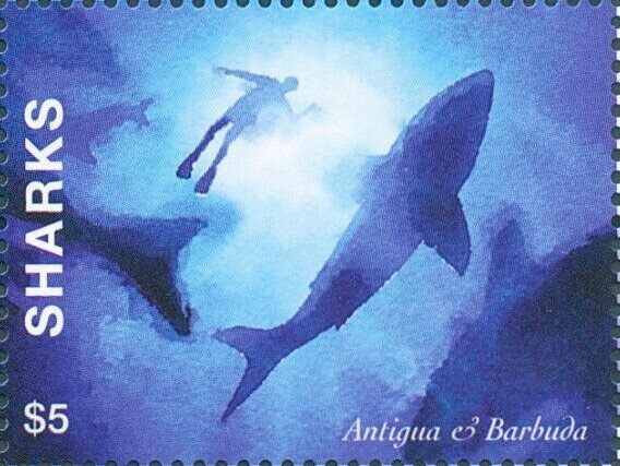 Great Star Coral (Montastraea cavernosa)