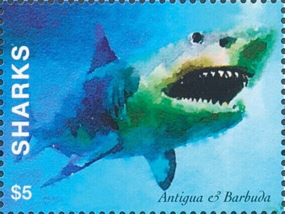 Prince William & Catherine Middleton