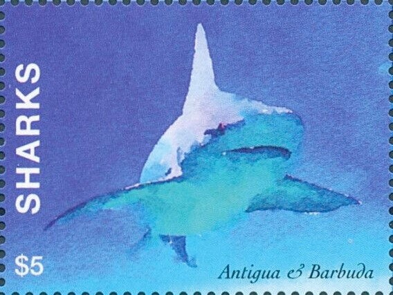 Princess Diana (black and white photo)