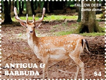 Abraham Lincoln 200 Birth Anniversary