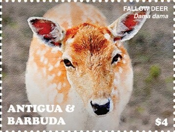 1980 Olympics Moscow